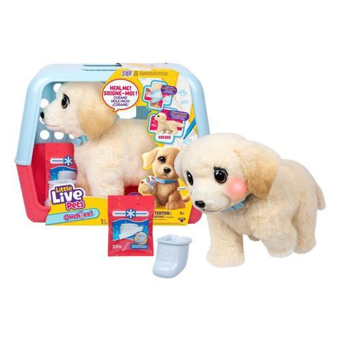 L0100000 LLP Yavru Köpek İyileşiyor - 26679