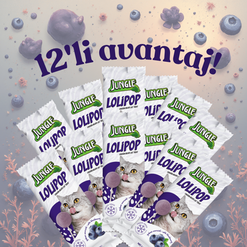 Kedi Lolipop Yabanmersinli  1,5 g * 12'li Avantaj Paketi!
