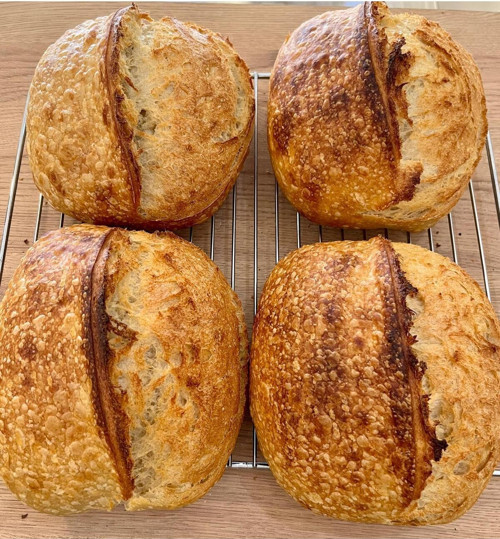 Elif Artizan Bakery 4 Ekşi Maya Köy Ekmeği