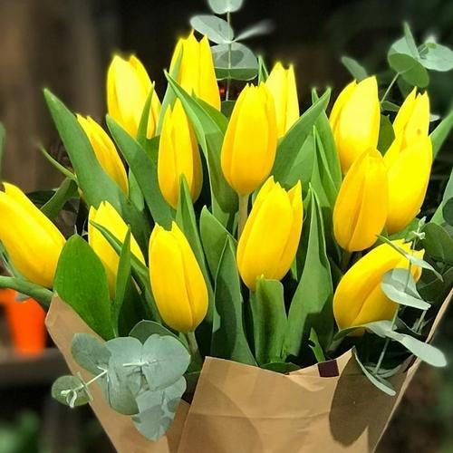 10 ADET SARI RENK LALE ÇİÇEĞİ TOHUMU + 10 ADET HEDİYE KARIŞIK GÜL ÇİÇEK TOHUMU