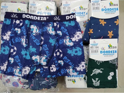 503 Erkek Çocuk Baskılı Boxer (Bakser) Kulot 6Lı Mavi 5-6 Yaş