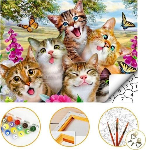 Tatlı Kediler - Sayılarla Boyama Seti Kasnaklı 40x50cm Boyalar ve Fırçalar Dahil