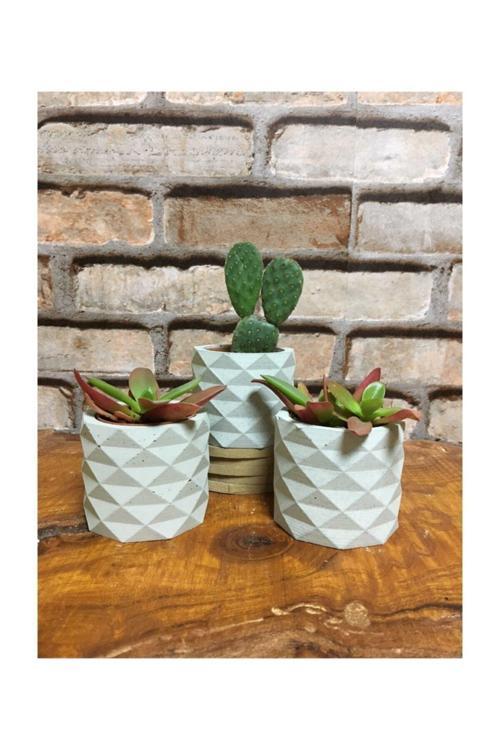 Üçlü Kristal Prizma Beyaz Kaktüs Ve Skulent Saksı Seti