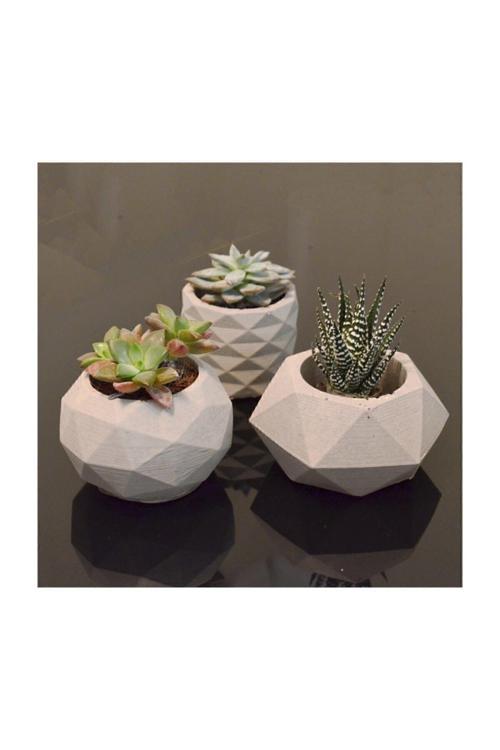 Talya Art Design 3'Lü, Beton Sukulent Veya Kaktüs Saksı, Mumluk Seti. Cmsbeton3Lü