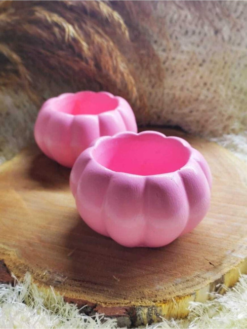 2 Adet Pembe Kaktüs Ve Sukulent Saksısı Kabak Saksı