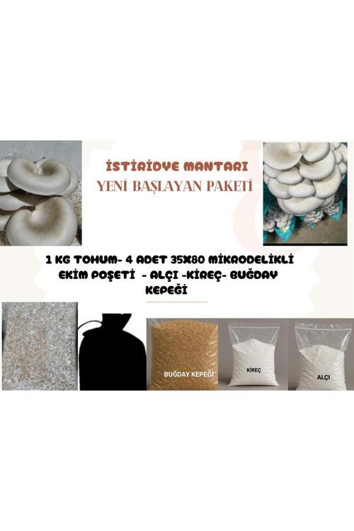 İstiridye Mantarı Tohumu ( Her Şey Dahil)