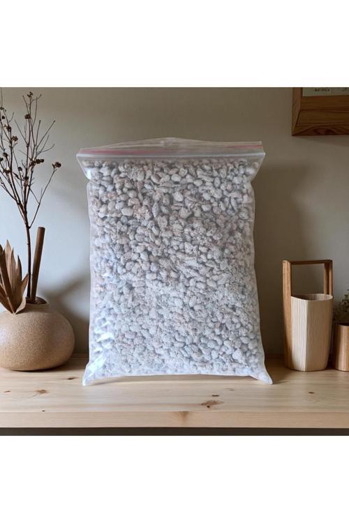 İstiridye Mantarı Bütçem Paketi( 5 Kg Tohum, 20 Adet Ekim Poşeti,)