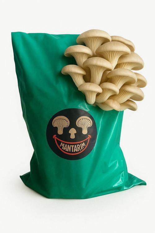 6 Kg İstiridye Mantarı Kompostu ( Mantar Çıkımına Hazır, Yetiştirme Kılavuzu İle Birlikte)