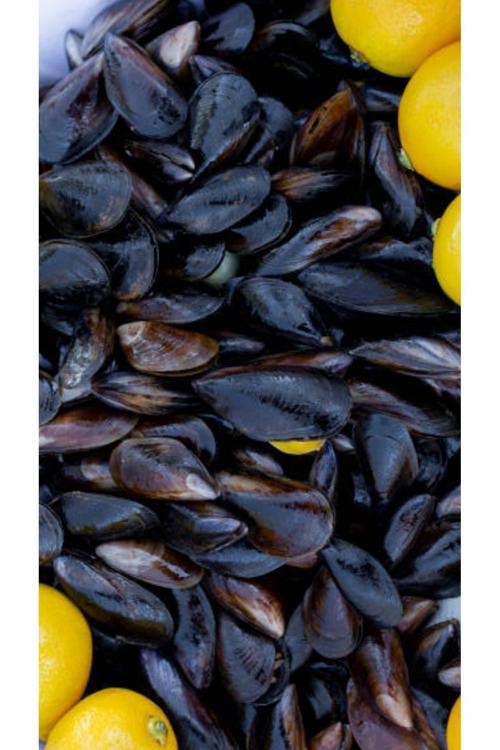 Meşhur İzmir Midyesi 1Kg.