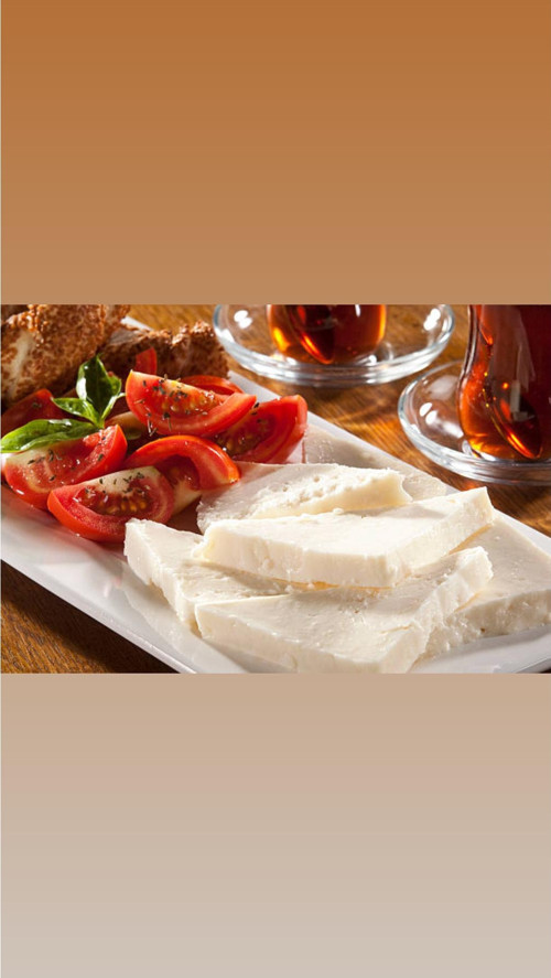 Ezine Keçi Peyniri (Vakumlu)(500Grx2)