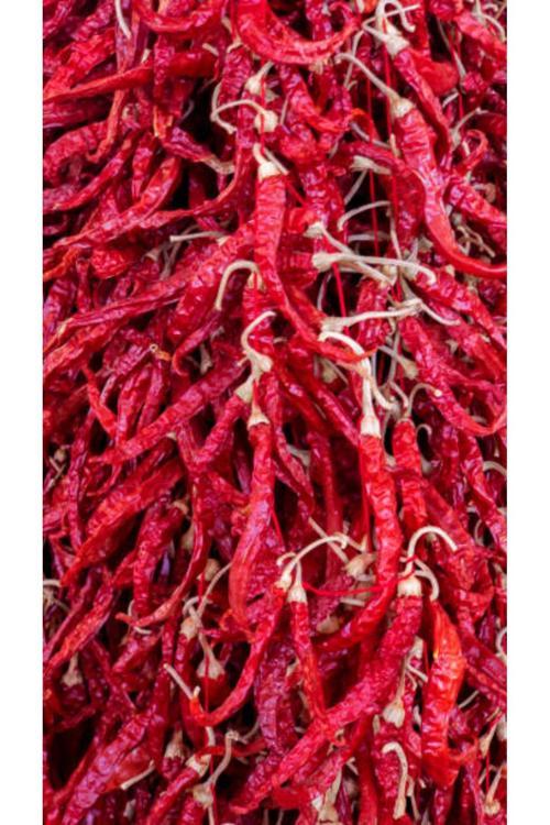 Kuru Acı Biber Dizi