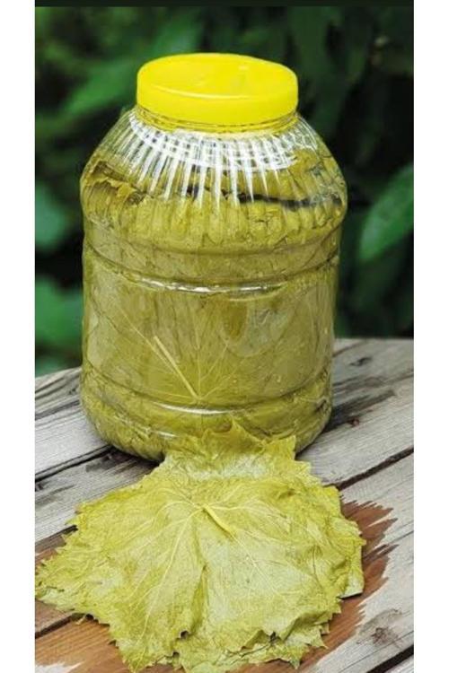 Özel Erbaa Salamur Yaprak, Altın Seri. (Susuz, Net 5Kg)