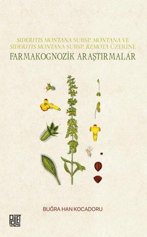 Farmakognozik Araştırmalar - Sideritis Montana Subsp.Montana ve Sideritis Montana Subsp.Remota Üzeri