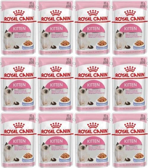 Jelly Kitten Yas Yavru Kedi Konservesi 85 gr 12 Adet