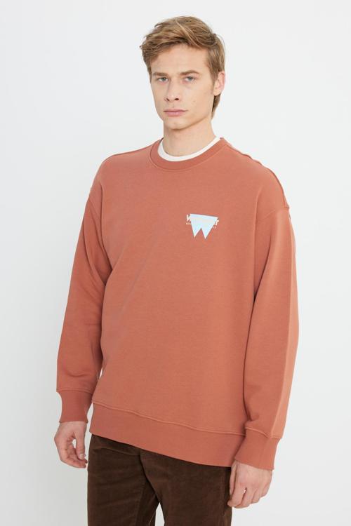 Oversize Fit Sırt Baskılı Şardonlu Erkek Sweat W232243 219 Tarçın