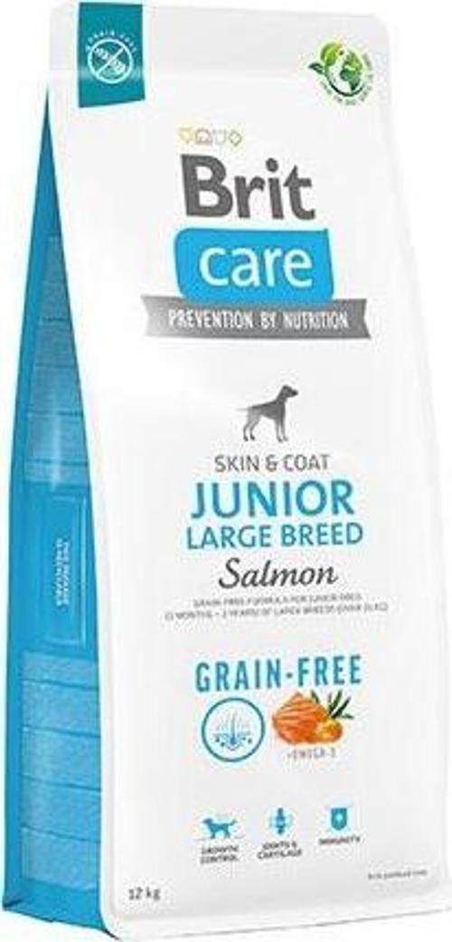 Skin Coat Somonlu Büyük Irk Tahılsız Yavru Köpek Maması 12 Kg