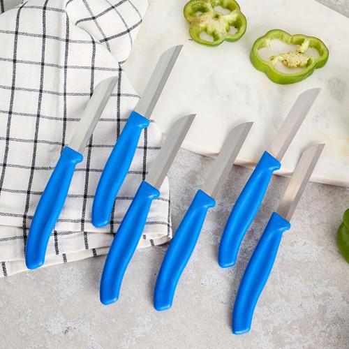 Mira 6 Parça Meyve Bıçak Seti Mavi