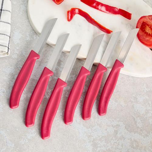 Mira 6 Parça Meyve Bıçak Seti Bordo