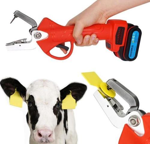 Akülü Küpe Takma Pensi 