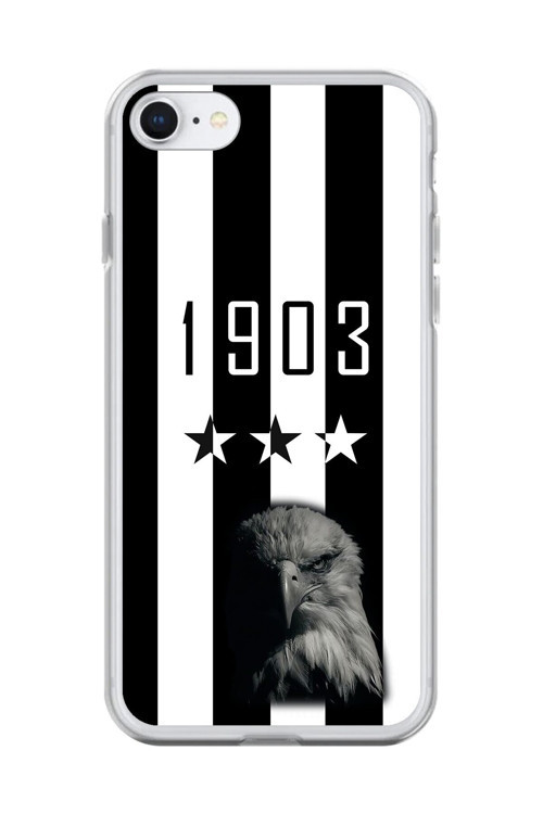 İphone 6S Uyumlu Şeffaf Kılıf 1903 Kartal Tasarımlı