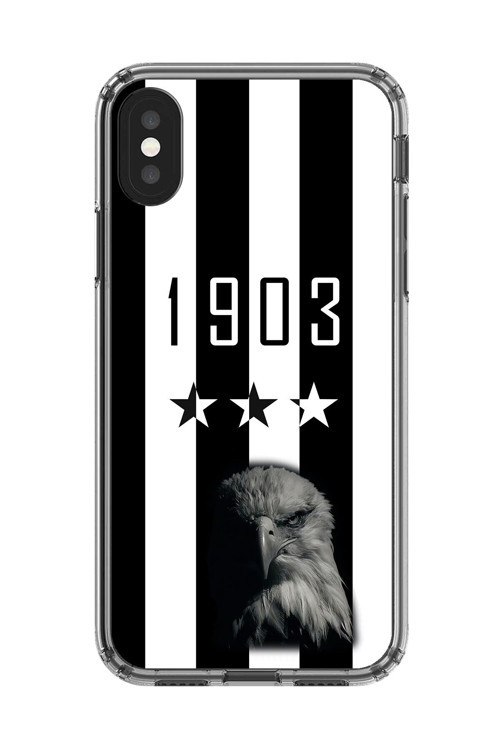 İphone Xs Uyumlu Şeffaf Kılıf 1903 Kartal Tasarımlı