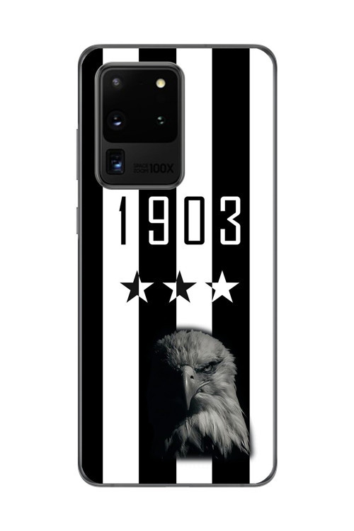 Galaxy S20 Ultra Uyumlu Şeffaf Kılıf 1903 Kartal Tasarımlı