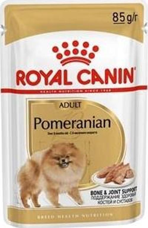 Pomeranian  Köpek Pounch 85G