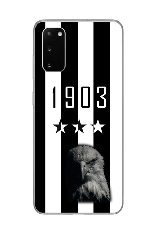 Galaxy S20 Uyumlu Şeffaf Kılıf Şeffaf 1903 Kartal Tasarımlı