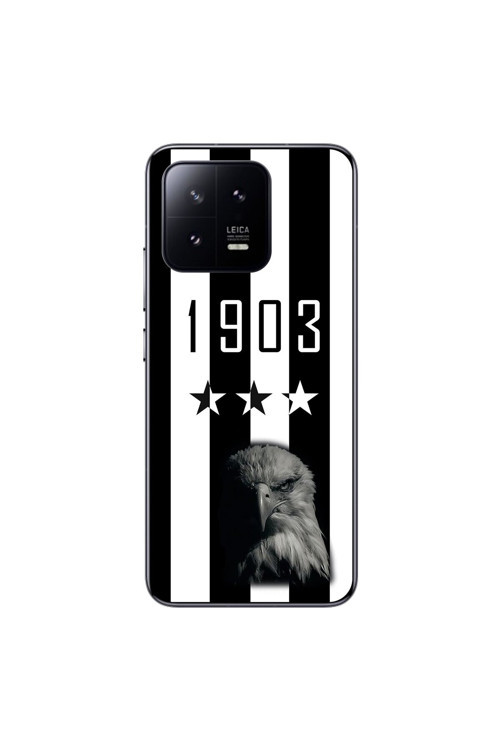 Xiaomi Mi 13 Pro Uyumlu Şeffaf Kılıf 1903 Kartal Tasarımlı