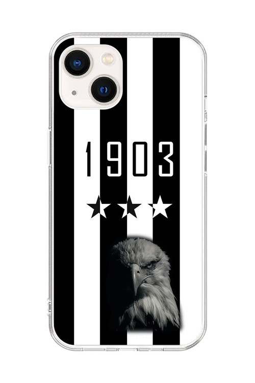İphone 15 Plus Uyumlu Şeffaf Kılıf Şeffaf 1903 Kartal Tasarımlı