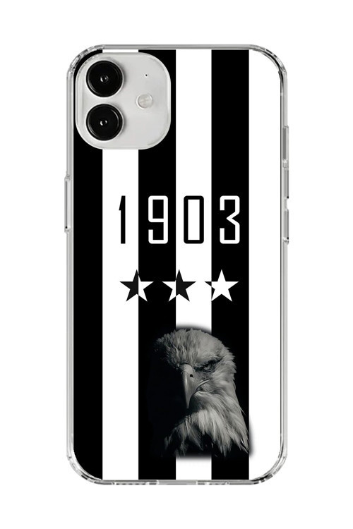 İphone 12 Uyumlu Şeffaf Kılıf 1903 Kartal Tasarımlı