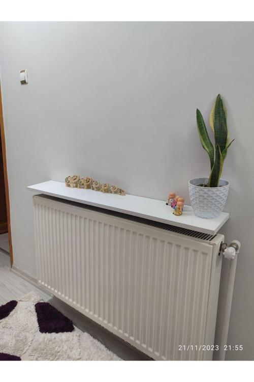 Petek Üstü Raf 80x17