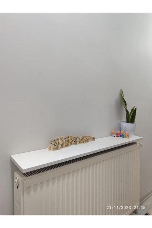 Petek Üstü Raf 140x17