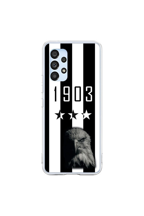 Samsung Galaxy A53 Uyumlu Şeffaf Kılıf 1903 Kartal Tasarımlı