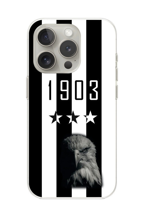 İphone 12 Pro Max Uyumlu Şeffaf Kılıf Şeffaf 1903 Kartal Tasarımlı