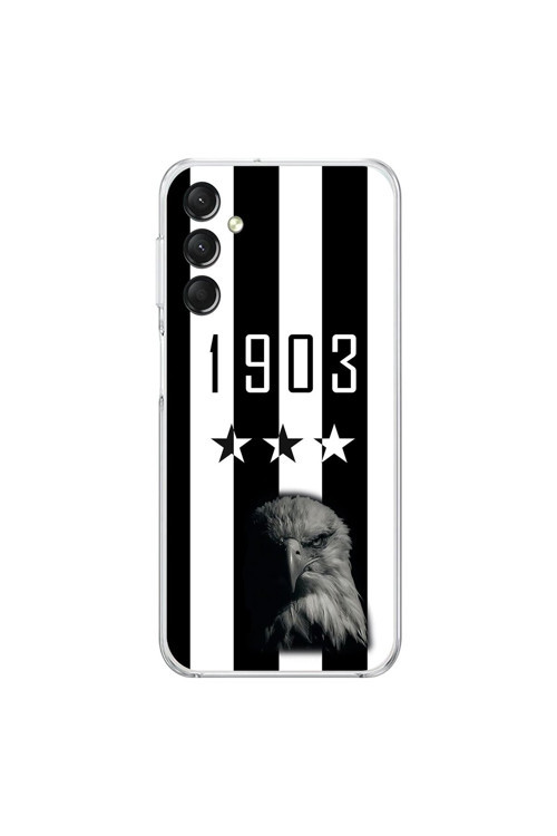 Samsung Galaxy A14 Uyumlu Şeffaf Kılıf 1903 Kartal Tasarımlı