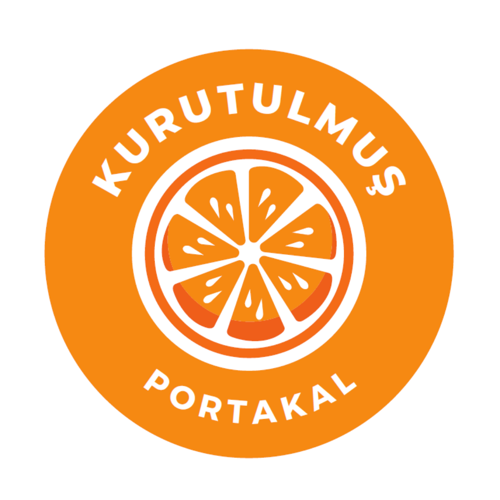 Kurutulmuş Portakal Sticker 150 Adet