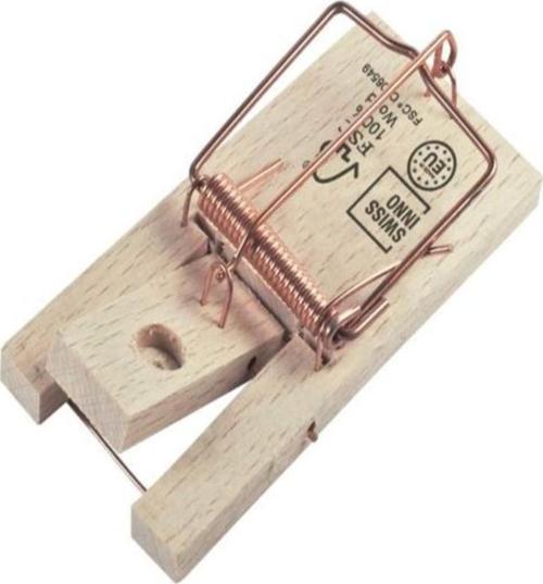 Ahşap Klasik Fare Kapanı 2 Li Fare