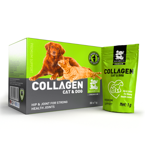 Collagen Kedi ve Köpekler İçin Eklemleri Destekleyen Takviye