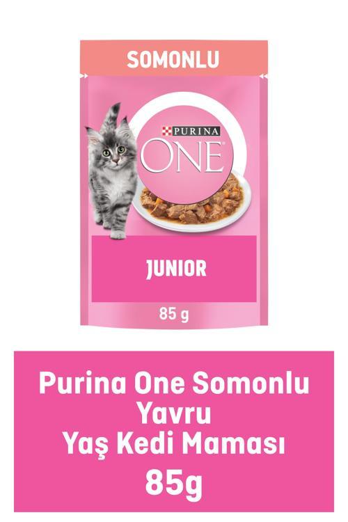 Yavru Kedi Maması Somon & Havuç 85g
