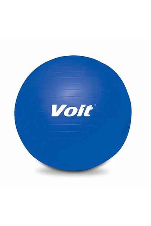 Gymball 65 Cm Mavi Pompalı