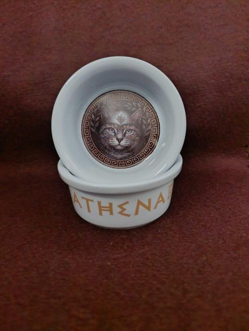 Olimpos Serisi Athena Seramik Mama Ve Su Kabı 300ml