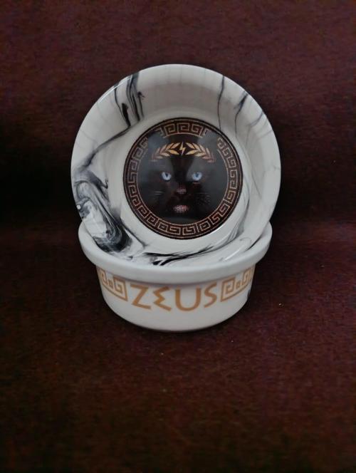 Olimpos Serisi Zeus Seramik Mama Ve Su Kabı 300ml