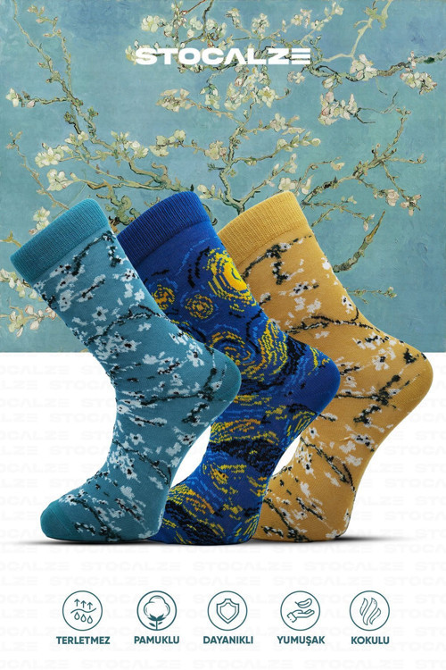 Pamuklu Ve Karışık Renkli Van Gogh Sanat Desenli 5'Li Kutulu Çorap Seti.