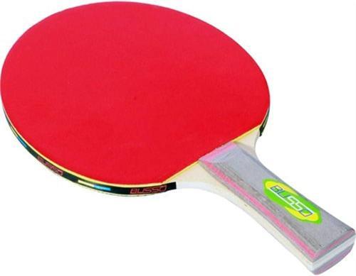 Hudson Masa Tenisi Raketi 2 Yıldız