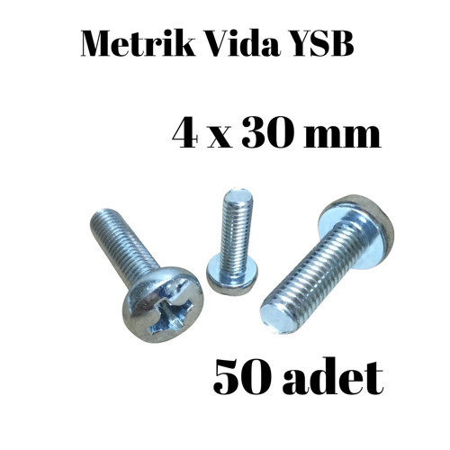 Metrik Vida YSB 4X30 50 Adet Yıldız Silindir Başlı Vida