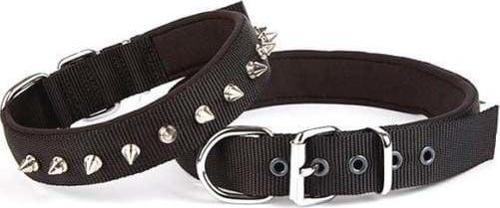 Comfort Dokuma Çivili Köpek Boyun Tasması Large Siyah 2.5x42-50 Cm