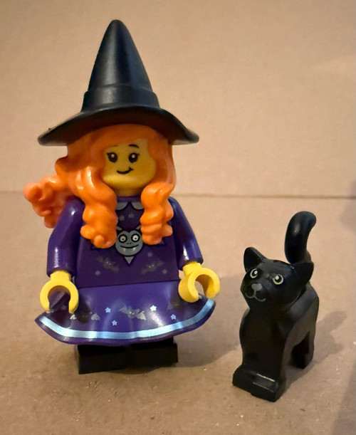 Minifigür Witch with cat