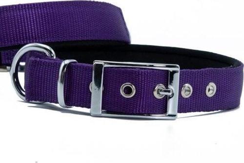 Elit Dokuma Köpek Boyun Tasması Large Mor 2.5x42-50 Cm