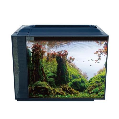 Botia 55 Nano Akvaryum Siyah 55,5 x 29,5 x 38 Cm